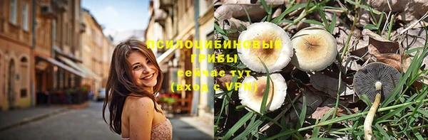 гидропоника Новокубанск